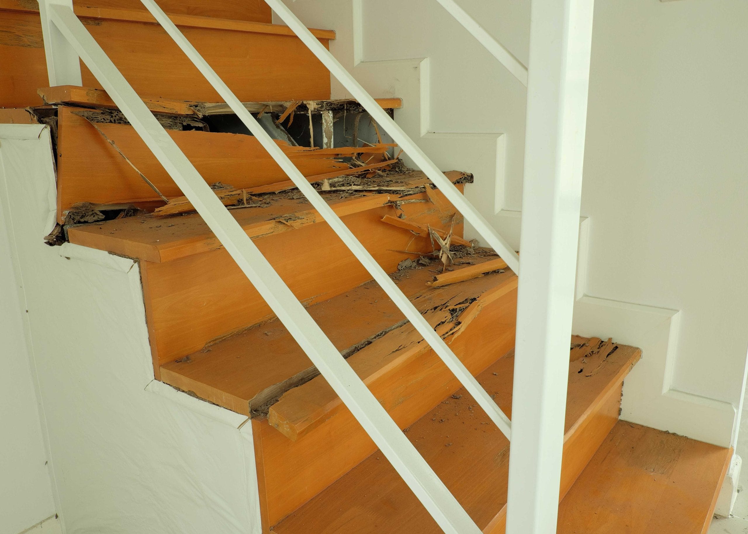 termite-damage-stairs-scaled Miami, Florida